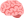 brain-emoji-1024x798-spi2i3dv